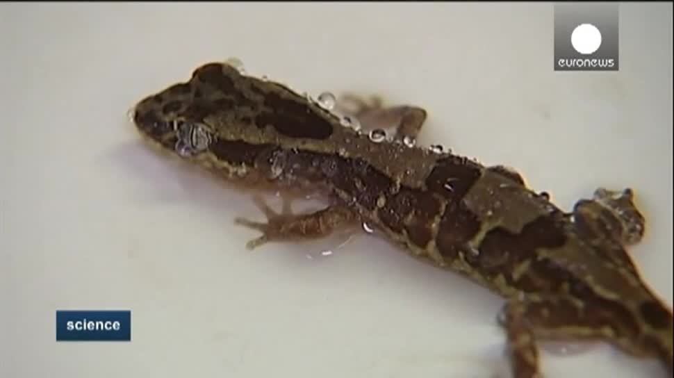 Dank Geckohaut sauber und trocken bleiben