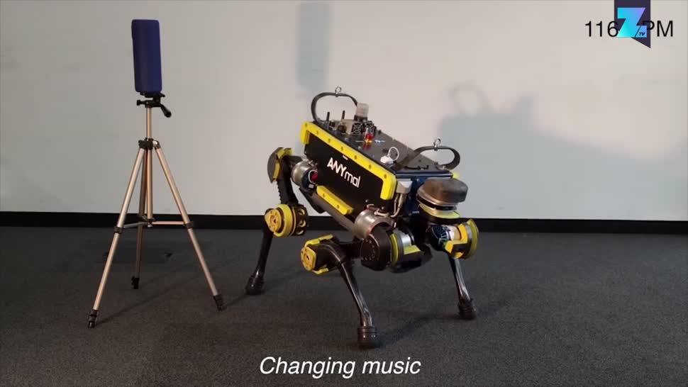 Zoomin, Roboter, Robotik, ETH Zürich, Anymal