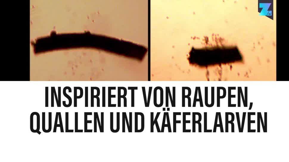 Forschung, Zoomin, Roboter, Robotik, Medizin, Max-Planck-Institut, Milliroboter